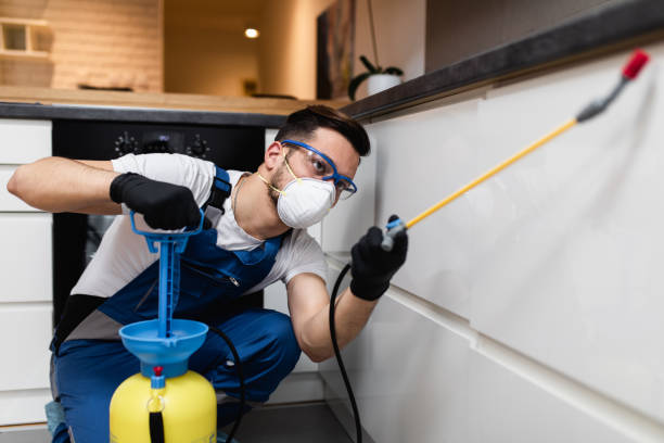 Best Commercial Pest Control Services  in La Harpe, IL