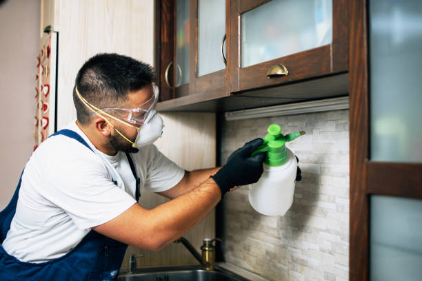 Best Residential Pest Control  in La Harpe, IL