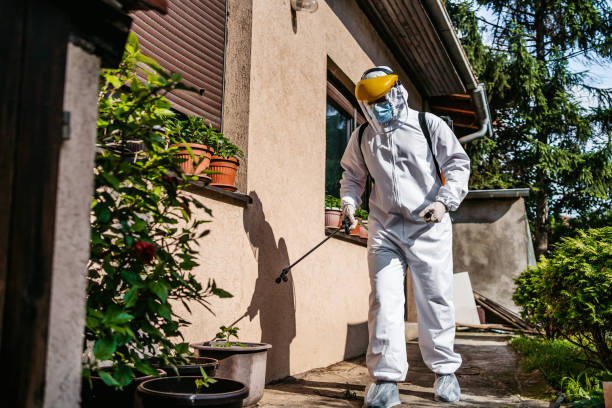 Best Emergency Pest Control  in La Harpe, IL