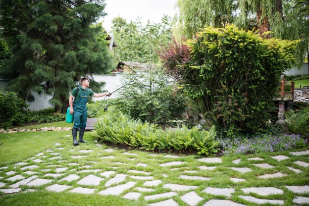 Best Pest Control Near Me  in La Harpe, IL