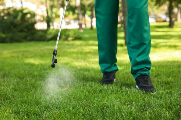 Best Cockroach Control Services  in La Harpe, IL