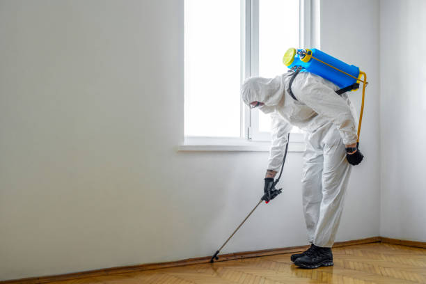 Best Pest Control Near Me  in La Harpe, IL