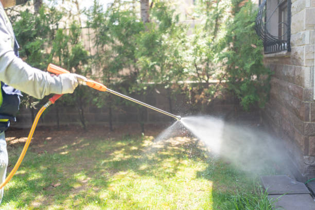 Best Bed Bug Extermination  in La Harpe, IL