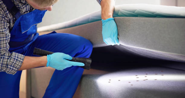Best Pest Prevention Services  in La Harpe, IL