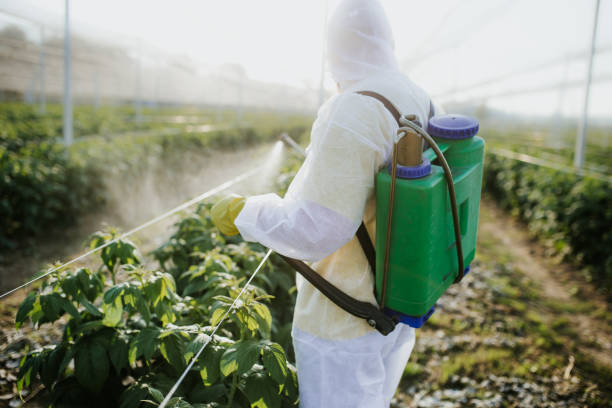 Best Exterminator Services  in La Harpe, IL